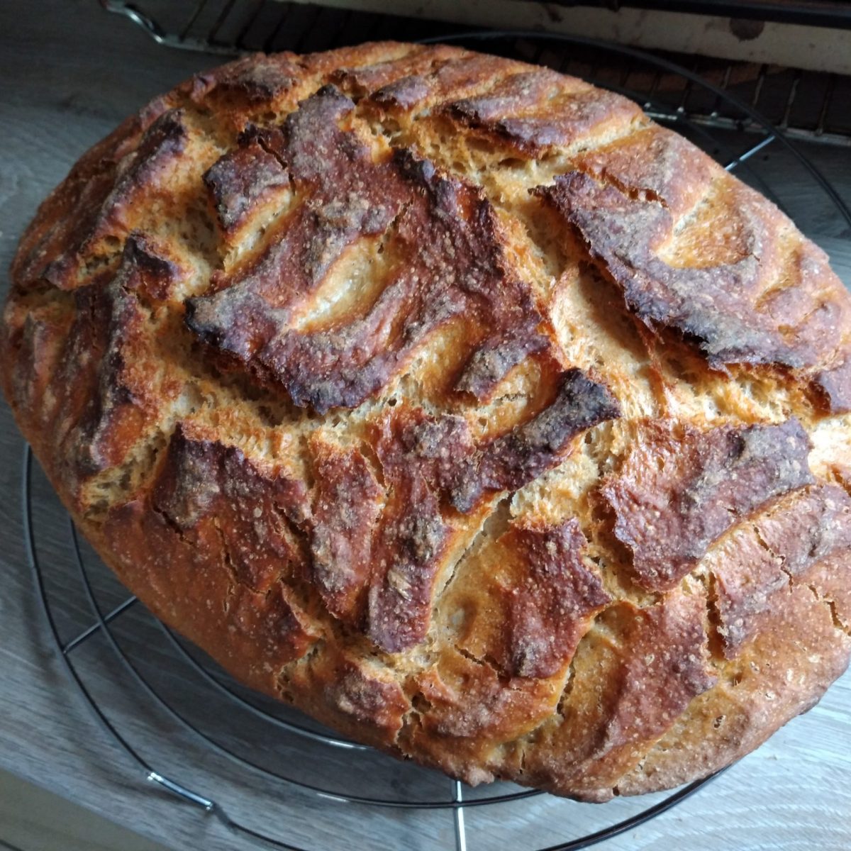 Selbst gebackenes Brot